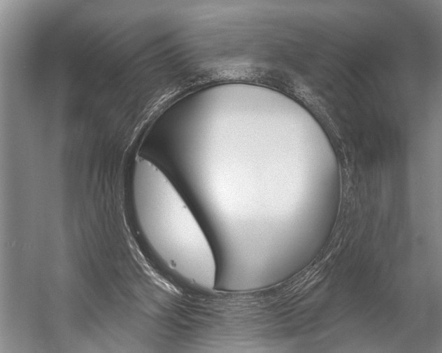 X0000059220106200510140810