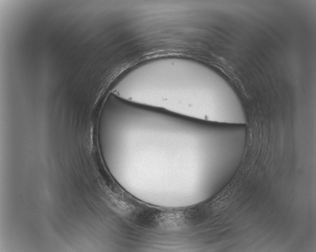 X0000059220110200510140810