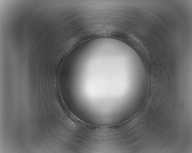 X0000059220113200510140810