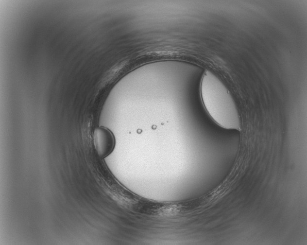X0000059220116200510140810