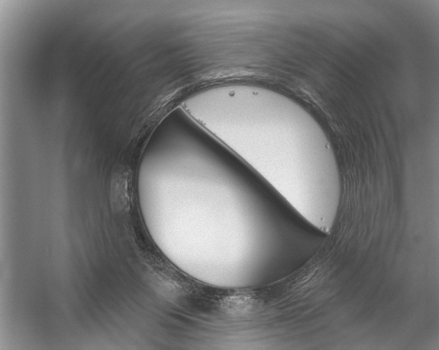 X0000059220119200510140810