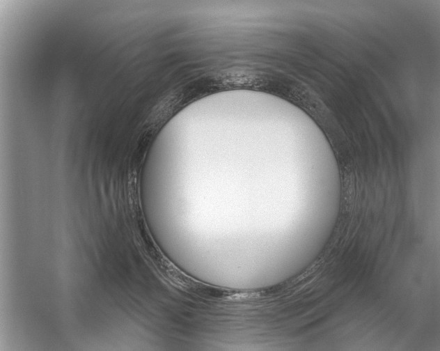 X0000059220126200510140810
