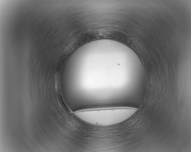 X0000059220129200510140810