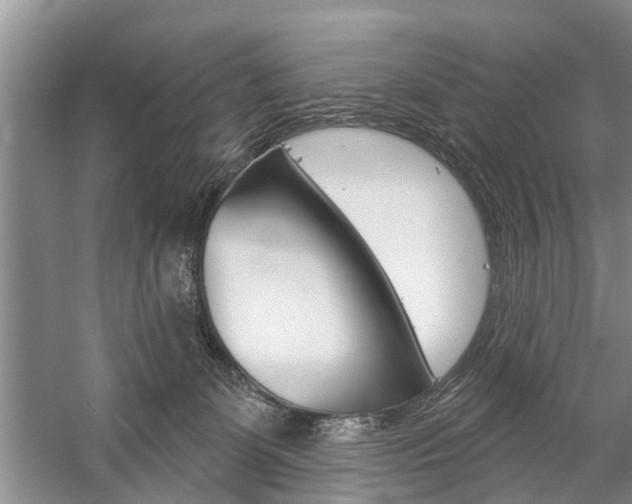 X0000059220131200510140810