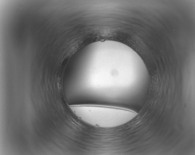 X0000059220135200510140810