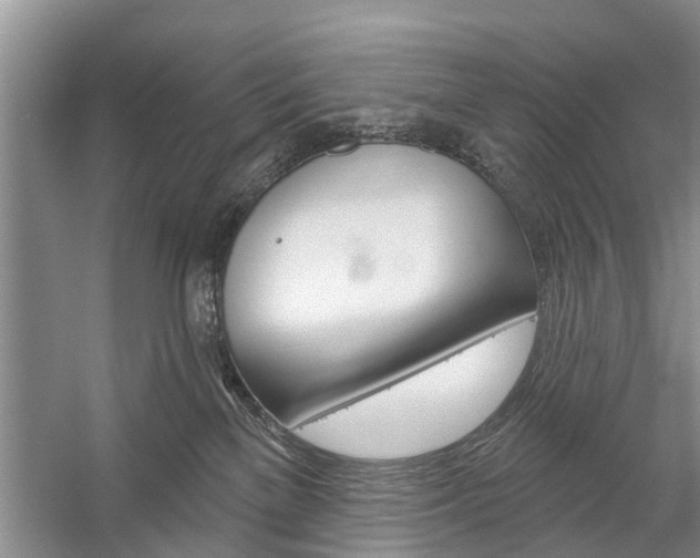 X0000059220137200510140810