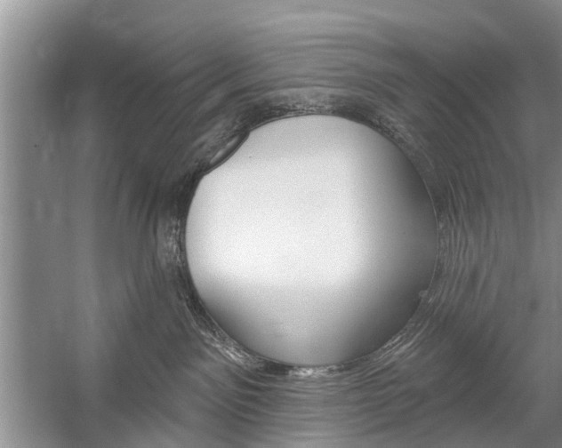 X0000059220141200510140810