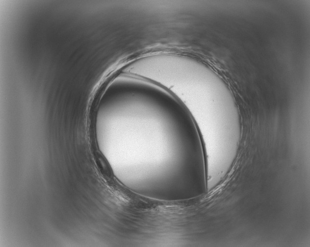X0000059220150200510140809
