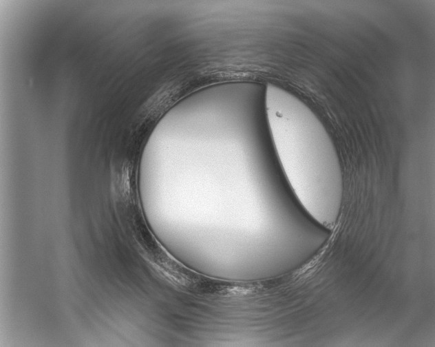 X0000059220166200510140809
