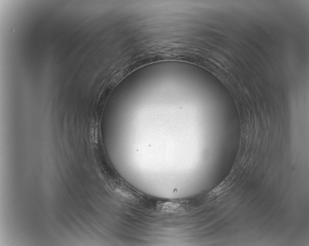 X0000059220180200510140809