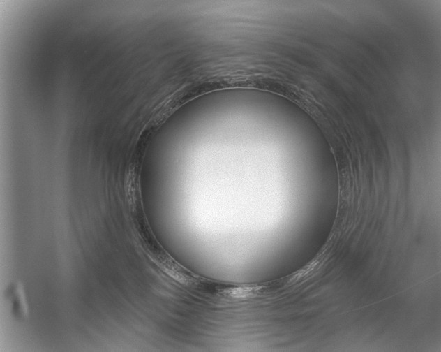 X0000059220184200510140809