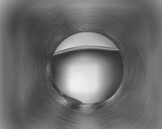 X0000059220192200510140810
