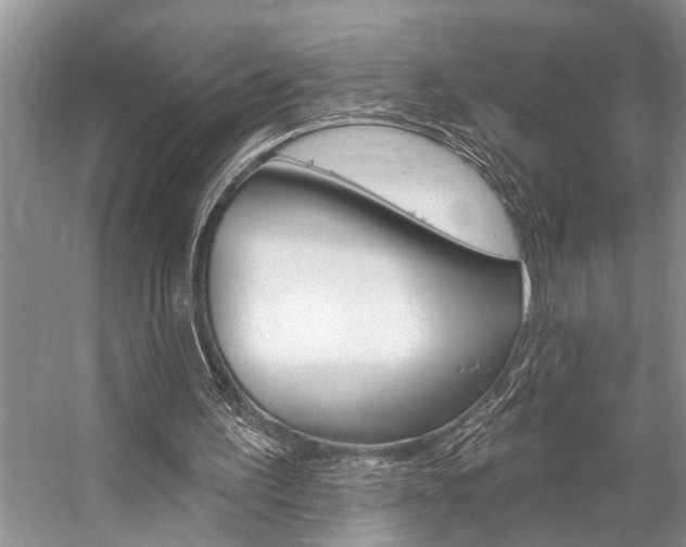 X0000059220195200510140809