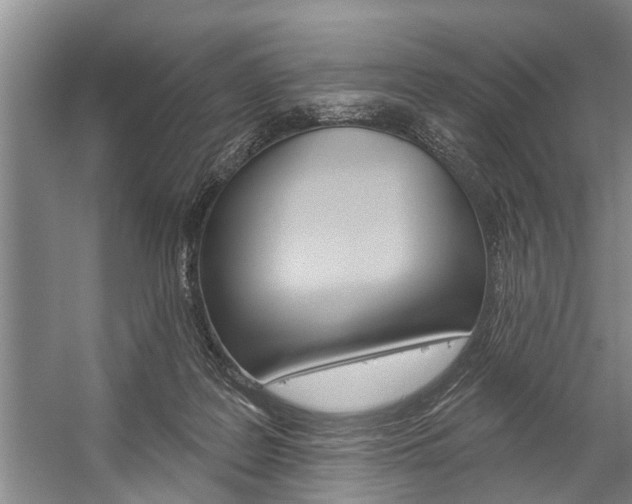 X0000059220219200510140808