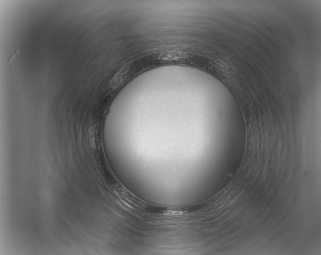 X0000059220227200510140808