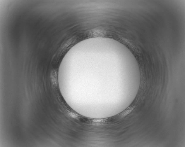 X0000059220240200510140808