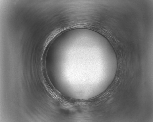 X0000059220242200510140807