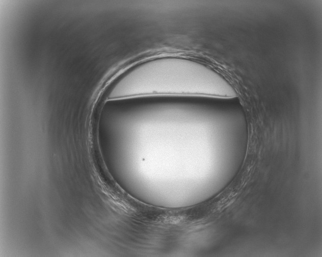 X0000059220247200510140807