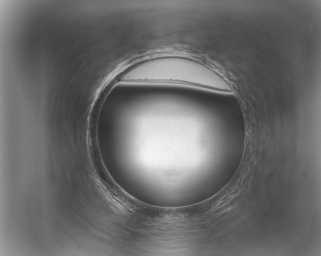 X0000059220248200510140807