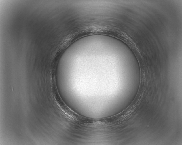 X0000059220257200510140807