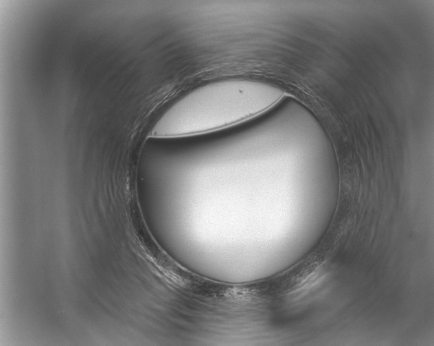 X0000059220261200510140807