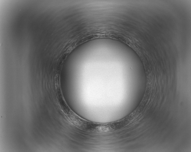 X0000059220272200510140808