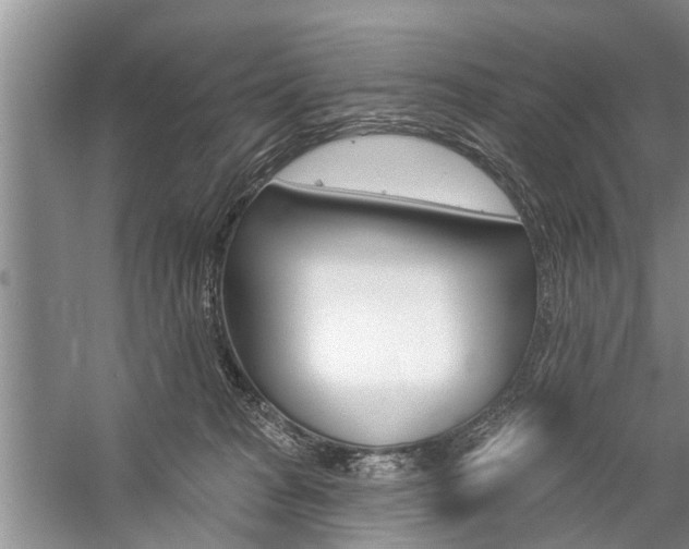 X0000059220277200510140808