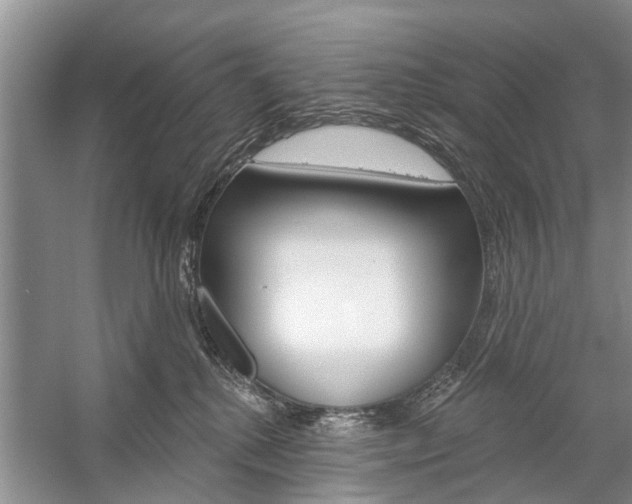X0000059220280200510140808
