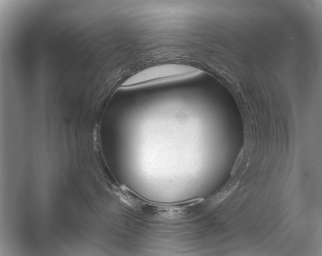 X0000059220288200510140808