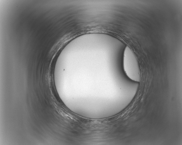 X0000059220290200510140807