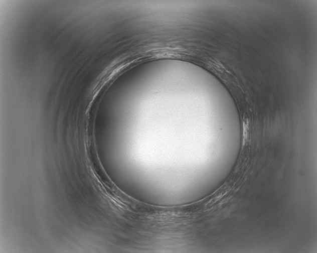 X0000059220291200510140807