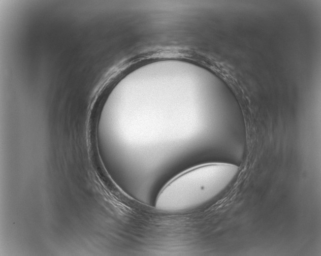 X0000059220296200510140807