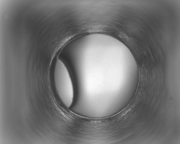 X0000059220298200510140807