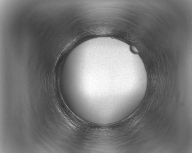 X0000059220304200510140807