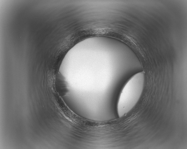 X0000059220307200510140807