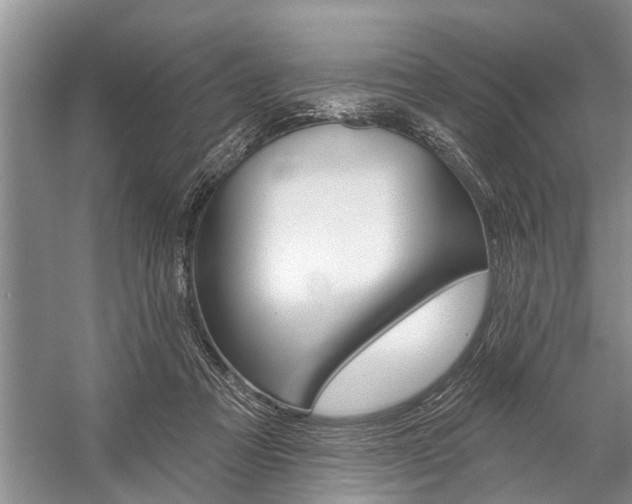 X0000059220313200510140807