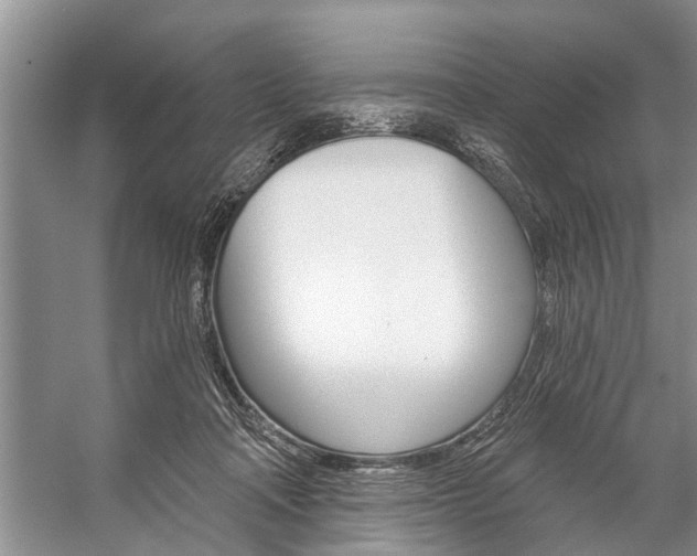 X0000059220314200510140807