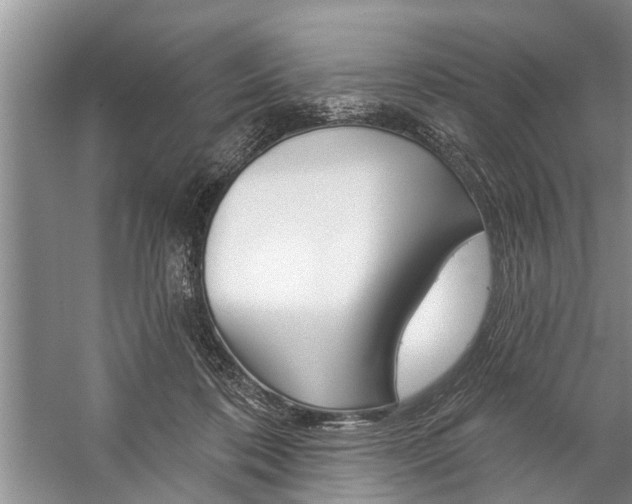 X0000059220316200510140807