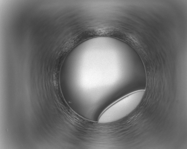 X0000059220317200510140807
