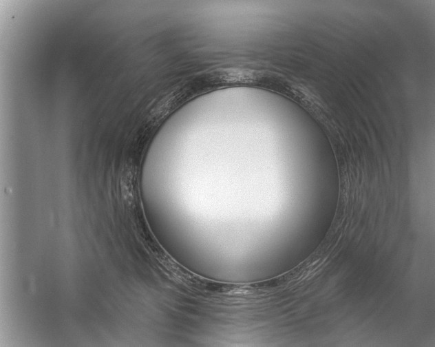 X0000059220325200510140806