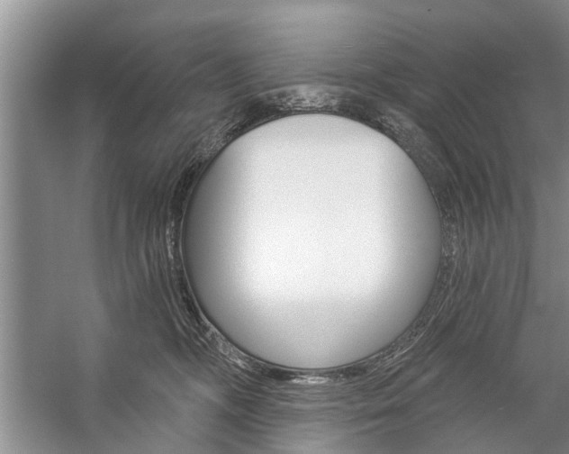 X0000059220326200510140806