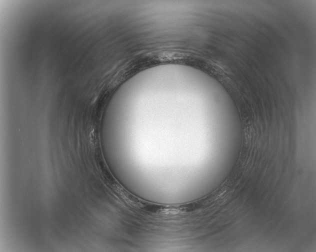 X0000059220327200510140806