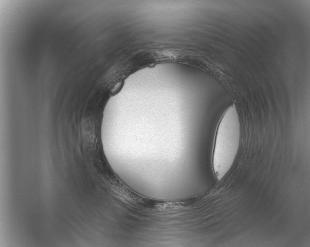 X0000059220331200510140806
