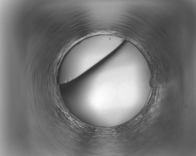X0000059220337200510140805