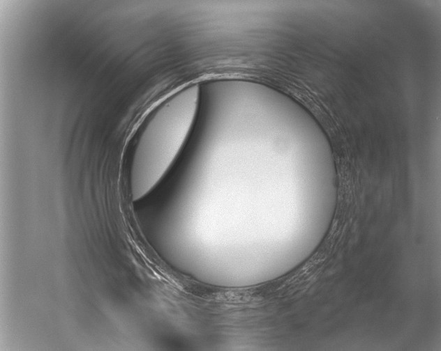 X0000059220338200510140805