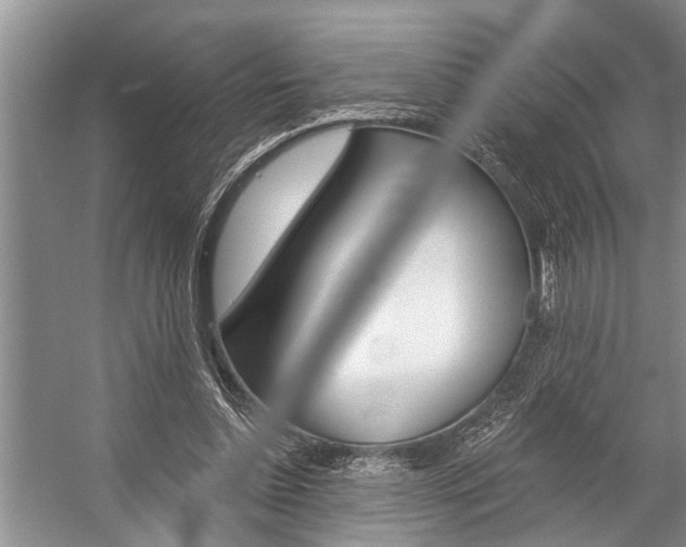 X0000059220348200510140806
