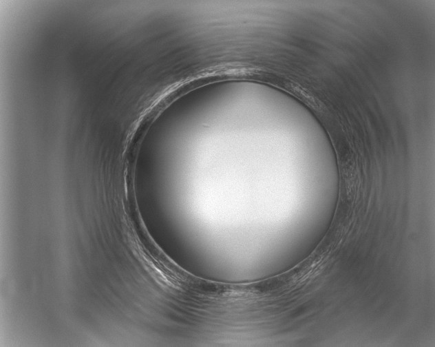 X0000059220350200510140806