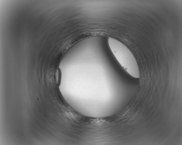 X0000059220379200510140806