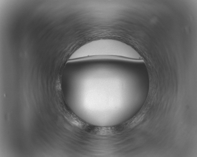 X0000059220384200510140806