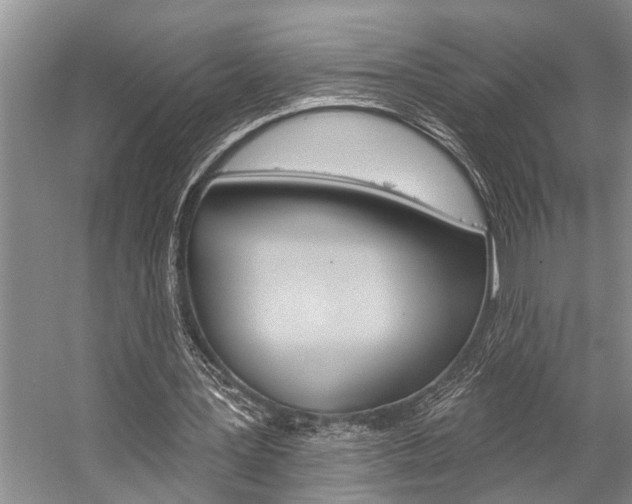 X0000059220387200510140805